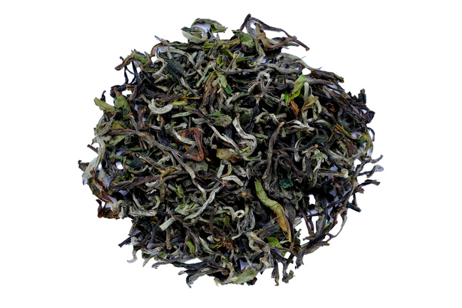 Darjeeling Rohini Exotic 2022