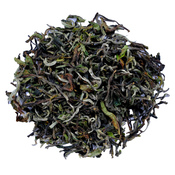 Darjeeling Rohini Exotic 2022