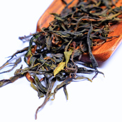 Da Xue Shan Yesheng Maocha 2026