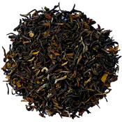 Nepal Sakhira SF