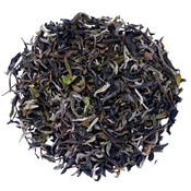 Darjeeling Snowview FF 2025