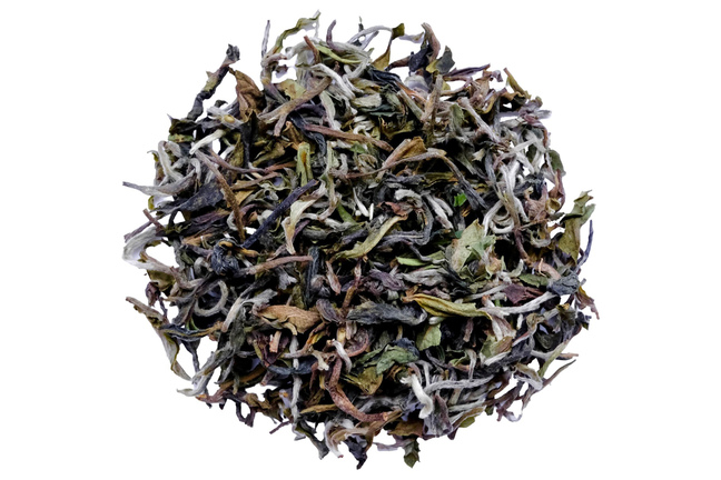 Darjeeling North Tukvar FF 2024