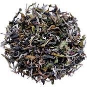 Darjeeling North Tukvar FF 2024