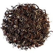 Darjeeling Samabeong SF 2024