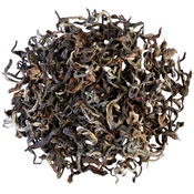 Nepal Kuwapani Oolong 2025
