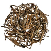 Kenia Golden Needle 2025