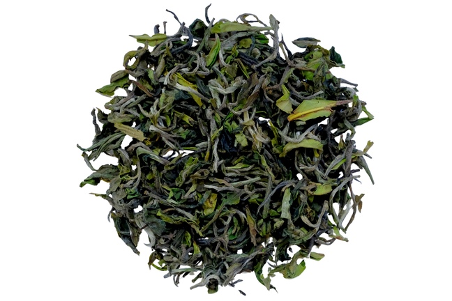 Darjeeling Gopaldhara Wonder FF 2025