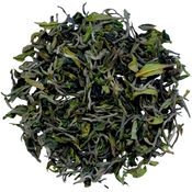Darjeeling Gopaldhara Wonder FF 2025