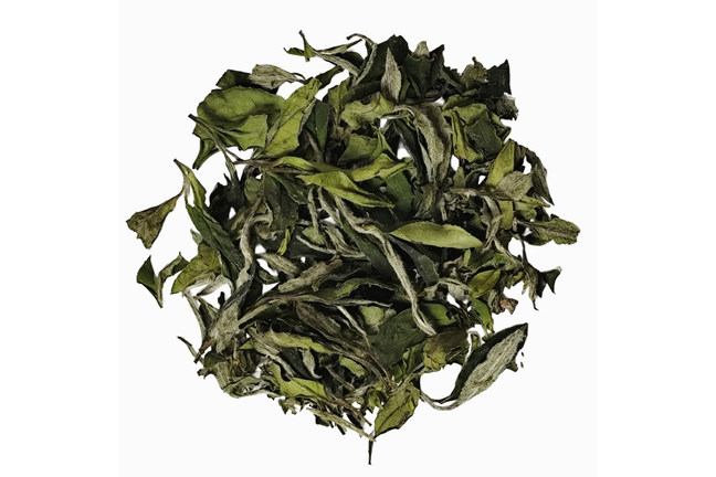 Bai Mu Dan Premium 2025