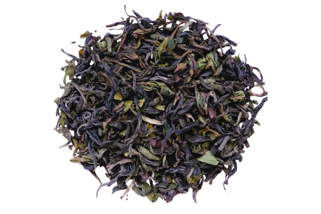 Darjeeling Arya FF 2025