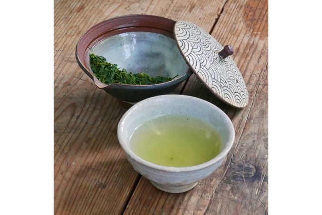 Sencha Asamushi Asanoka 2026