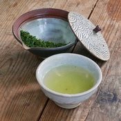 Sencha Asamushi Asanoka 2026