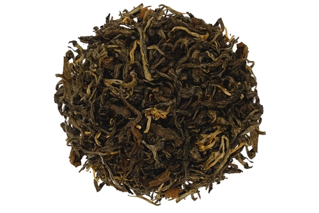 Darjeeling Black Musk SF 2025