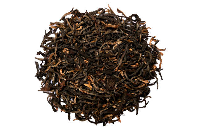 Darjeeling Snowview Burgundy SF 2025
