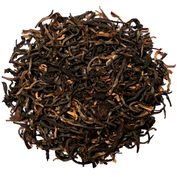 Darjeeling Snowview Burgundy SF 2025