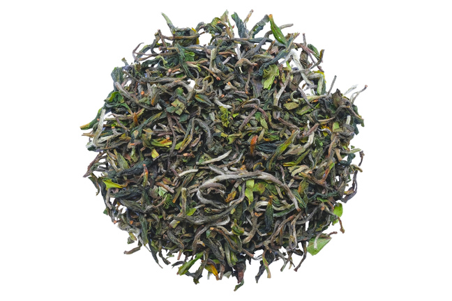 Darjeeling Puttabong FF 2026