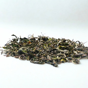 Darjeeling Puttabong FF 2026