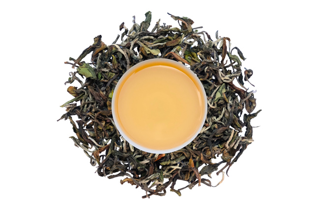 Darjeeling Rohini Wonder