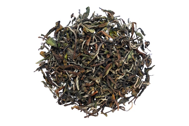 Darjeeling Rohini Wonder