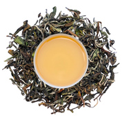 Darjeeling Rohini Wonder
