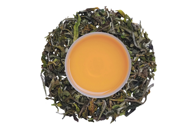 Darjeeling Jungpana Diamond FF 2026