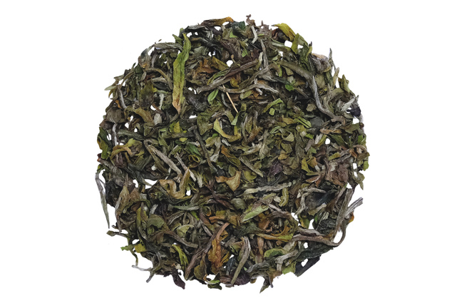 Darjeeling Jungpana Diamond FF 2026