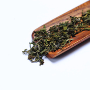 Darjeeling Jungpana Diamond FF 2026