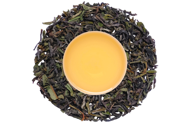 Darjeeling Marybong FF 2026