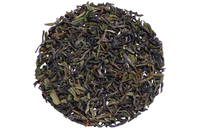 Darjeeling Marybong FF 2026