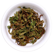 Darjeeling Marybong FF 2026