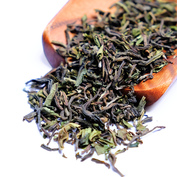 Darjeeling Marybong FF 2026