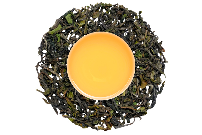Darjeeling Lingia FF 2026