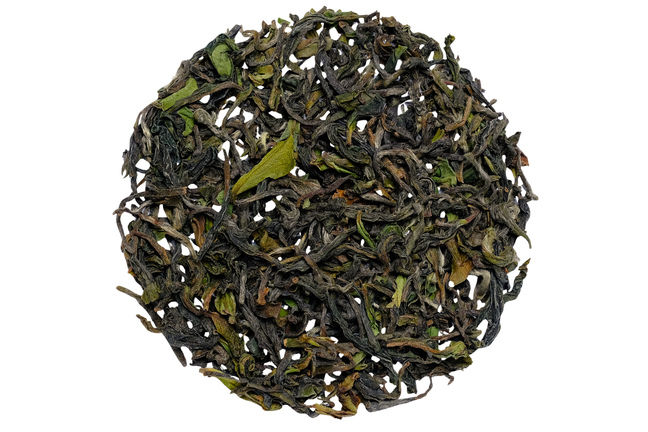 Darjeeling Lingia FF 2026