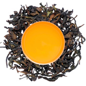 Kangra Amber SF 2026