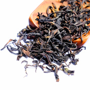Kangra Amber SF 2026