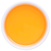Kangra Amber SF 2026