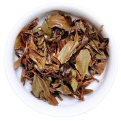 Kangra Amber SF 2026