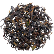 Darjeeling Arya Muscatel SF 2026