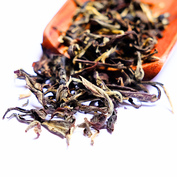 Darjeeling Singbulli Golden Auric SF 2026