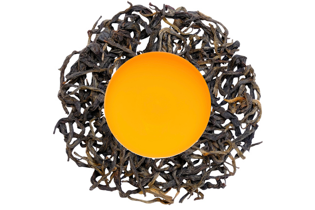 Nepal Pathivara Smoky Gold 2025