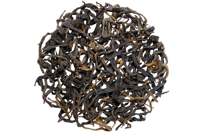 Nepal Pathivara Smoky Gold 2025