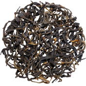Nepal Pathivara Smoky Gold 2025