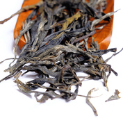 Mifeng Shan Gushu Maocha 2026