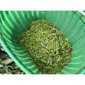 Mingqian Long Jing 2026