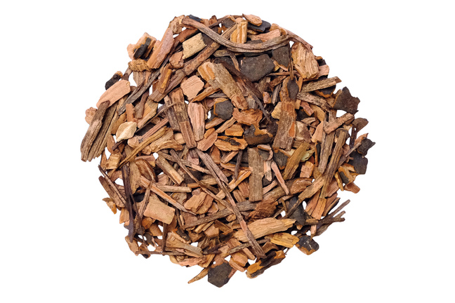 Sarsaparilla