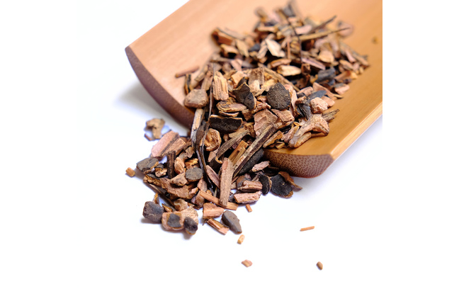 Sarsaparilla