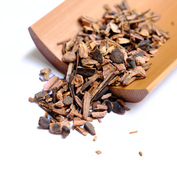 Sarsaparilla