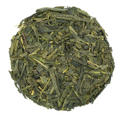 Sencha