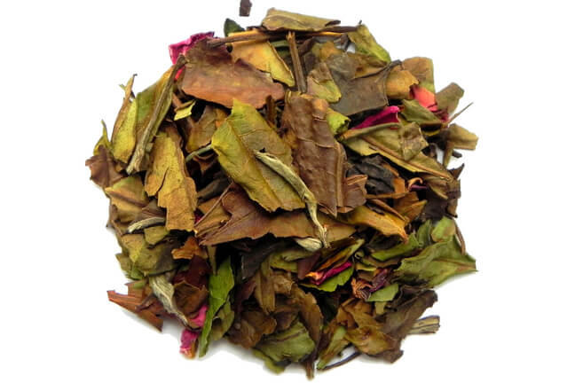 Bai Mu Dan Rose