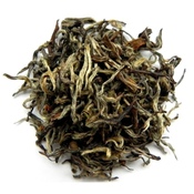 White Nepal Himalayan